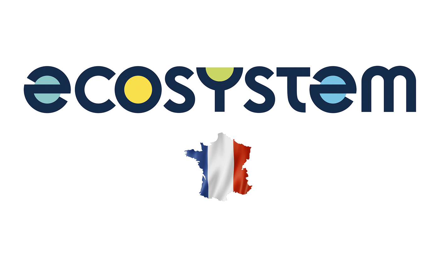 LA GESTION DES DEEE